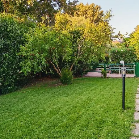 Tiny Park House 1